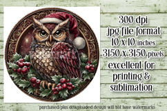 Christmas Wind Spinner, Owl Round Design, Owl Spinner, d33 Product Image 2