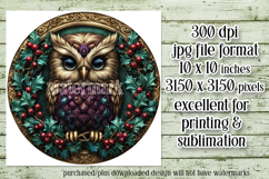 Christmas Wind Spinner, Owl Round Design, Owl Spinner, d37 Product Image 2