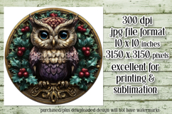 Christmas Wind Spinner, Owl Round Design, Owl Spinner, d38 Product Image 2