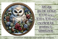 Christmas Wind Spinner, Owl Round Design, Owl Spinner, d4 Product Image 2