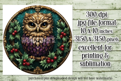 Christmas Wind Spinner, Owl Round Design, Owl Spinner, d42 Product Image 2