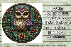 Christmas Wind Spinner, Owl Round Design, Owl Spinner, d43 Product Image 2