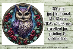 Christmas Wind Spinner, Owl Round Design, Owl Spinner, d44 Product Image 2