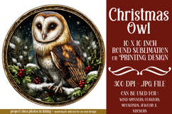 Christmas Wind Spinner, Owl Round Design, Owl Spinner, d45 Product Image 1