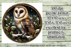 Christmas Wind Spinner, Owl Round Design, Owl Spinner, d45 Product Image 2