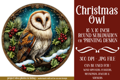 Christmas Wind Spinner, Owl Round Design, Owl Spinner, d46 Product Image 1