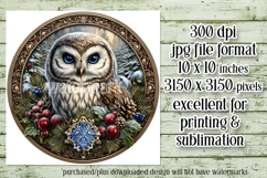 Christmas Wind Spinner, Owl Round Design, Owl Spinner, d5 Product Image 2