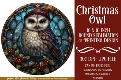 Christmas Wind Spinner, Owl Round Design, Owl Spinner, d51 Product Image 1