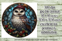 Christmas Wind Spinner, Owl Round Design, Owl Spinner, d51 Product Image 2
