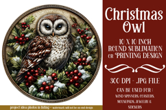Christmas Wind Spinner, Owl Round Design, Owl Spinner, d7 Product Image 1