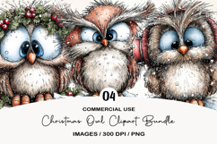Christmas Owl Clipart Sublimation Product Image 1