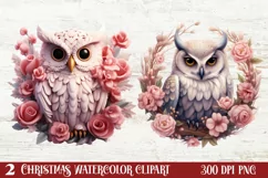 Christmas Owl Clipart, Christmas Owl Clipart, Christmas Owl Product Image 1