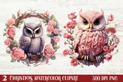 Christmas Owl Clipart, Christmas Owl Clipart, Christmas Owl Product Image 1