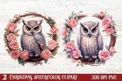 Christmas Owl Clipart Christmas Owl Clipart Christmas Owl Watercolor Watercolor Christmas Owl Christmas Owl Sublimation Christmas Owl Christmas 