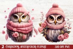 Christmas Owl Clipart, Christmas Owl Clipart, Christmas Owl Product Image 1