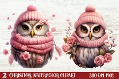 Christmas Owl Clipart, Christmas Owl Clipart, Christmas Owl Product Image 1