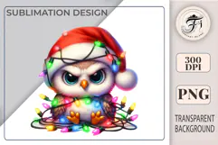 Cute Christmas owl wearing a Santa hat and garland. PNG with transparent background, perfect for festive designs and printing.