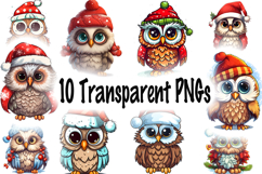 Cute Christmas Owls Clipart | Festive Owl PNG Bundle Product Image 10