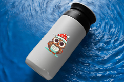 Cute Christmas Owls Clipart | Festive Owl PNG Bundle Product Image 5