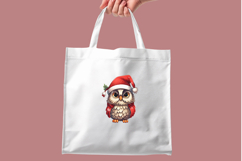 Cute Christmas Owls Clipart | Festive Owl PNG Bundle Product Image 8