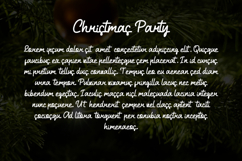 Christmas Party Product Image 3