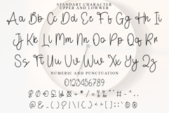 Christmas Photography Product Image 5