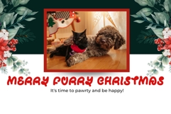 Christmas Pipow Product Image 3