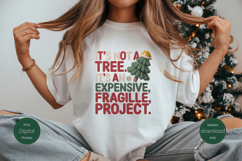 Expensive Fragile Project PNG | Knitted Christmas Product Image 1