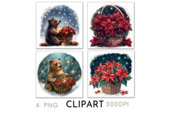 Christmas Poinsettia Illustrations Watercolor PNG