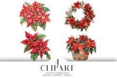 Christmas Poinsettia Illustrations Watercolor PNG