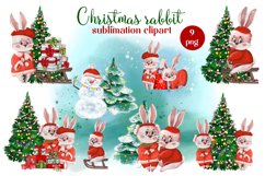 Christmas rabbit sublimation clipart. Winter watercolor hare Product Image 9