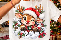 Christmas Reindeer Front and Back PNG Product Image 4