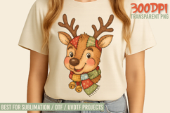 The Hand Painted Christmas Patchwork Designs Bundle PNGs Product Image 4