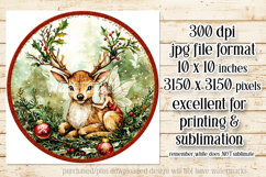 Christmas Spinner, Fairy and Reindeer Christmas Round, r2 Product Image 2