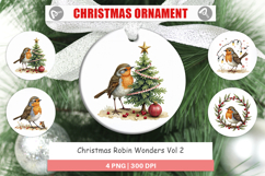 Christmas Robin Wonders Ornament Product Image 1