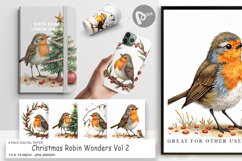 Christmas Robin Wonders Digital Paper Product Image 1