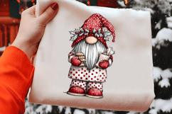 Christmas Santa Gnome Clipart Product Image 2