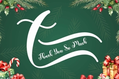 Christmas Shadyna Product Image 7