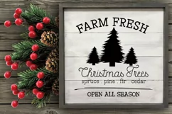 Farm Fresh Christmas Trees SVG I Christmas Sign SVG Product Image 3