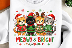 Christmas Sublimation Design, Funny Sublimation PNG Product Image 2