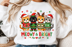 Christmas Sublimation Design PNG,Funny Design Product Image 2