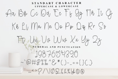 Christmas Traveling Product Image 4