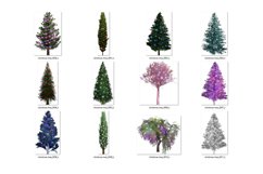 Christmas Trees Clipart Product Image 2