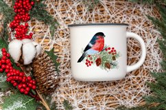 Christmas watercolor clipart poinsettia, fox, bird Product Image 6