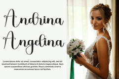 Christmas Waterfall Product Image 6