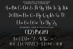 Christmas Waterfall Product Image 5