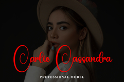 Christmas Product Image 2