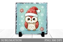 Christmas Owl Sublimation. Christmas Slate Design Product Image 1