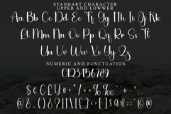 Christmas Product Image 3