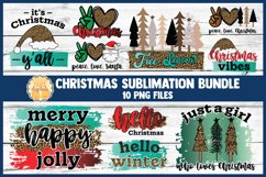 Christmas Sublimation Bundle | 10 Leopard Print PNG Designs Product Image 1